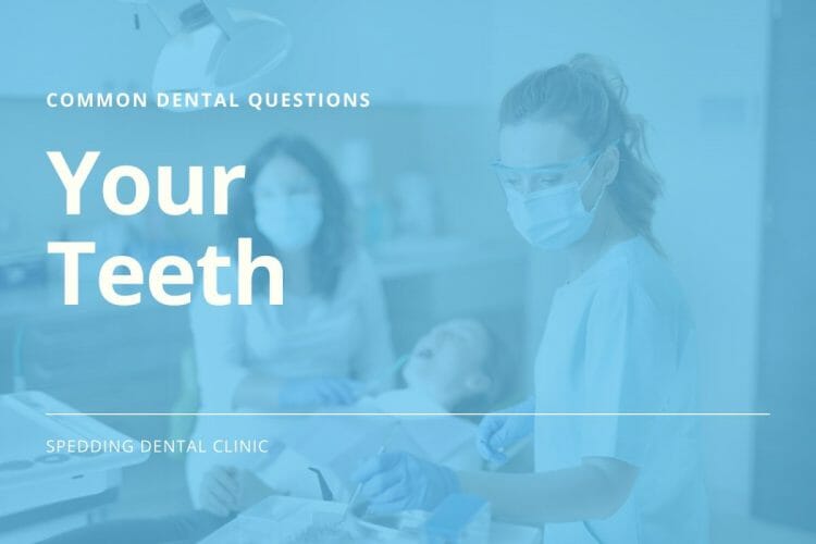 Basic Dental Questions About Your Teeth